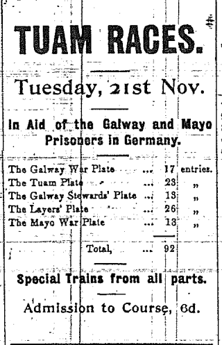Tuam Races (From The Galway Express, 11 November 1916)