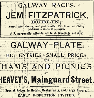 Snippet from the East Galway Democrat 22 July 1916